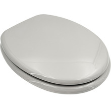 Toilettendeckel aus Sanitärkeramik