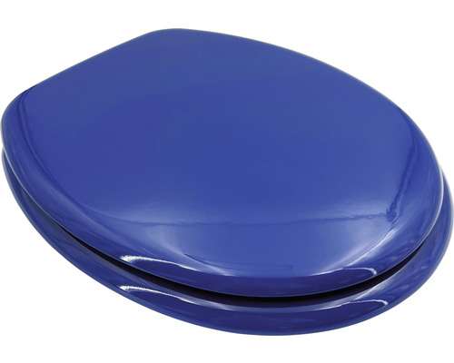 Blauer WC-Sitz