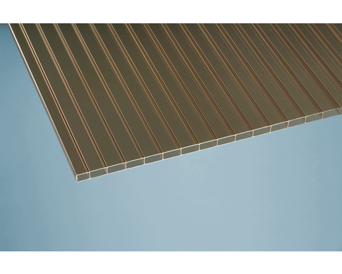 Doppelstegplatte aus Polycarbonat