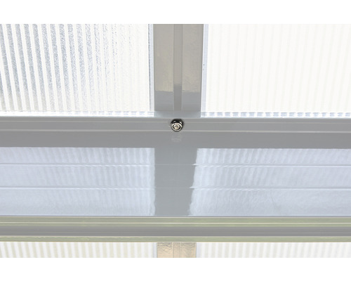 Detailansicht einer transparenten Doppelstegplatte mit Befestigungsschraube