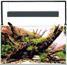 Aquarium AQUAEL UltraScape 60 mit LED Beleuchtung ca. 64 l OPTI-Glas, Weißglas, ohne Unterschrank forest