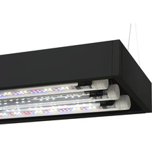 Aquariumlampe mit LED-Beleuchtung
