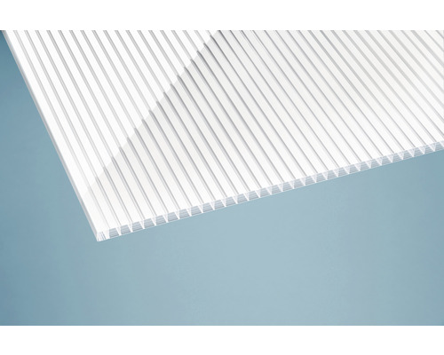 Doppelstegplatte aus Polycarbonat