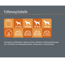 Hundefutter nass FINEVO Active Dog Rind mit Süßkartoffel 800 g-thumb-2 Hundefutter nass FINEVO Active Dog Rind mit Süßkartoffel 800 g-thumb-2