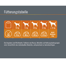 Hundefutter trocken FINEVO Adult Dog M Huhn 3 kg-thumb-3