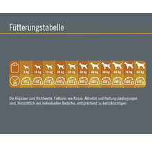 Hundefutter trocken FINEVO Senior Dog Huhn 15 kg-thumb-3
