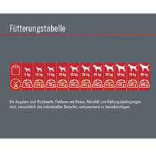 Hundefutter trocken FINEVO Sensitive Dog Lachs getreidefrei 12 kg-thumb-3