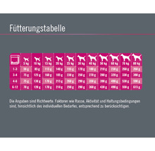 Hundefutter trocken FINEVO Junior Dog Huhn 15 kg-thumb-3 Hundefutter trocken FINEVO Junior Dog Huhn 15 kg-thumb-3