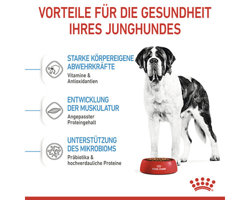 Vorteile für die Gesundheit Ihres Junghundes mit Informationen zu Abwehrkräften, Muskelentwicklung und Unterstützung des Mikrobioms. Im Bild ist ein Hund mit einer Schüssel Hundefutter zu sehen.