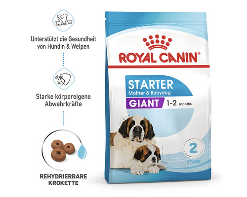 Royal Canin Starter Mother and Babydog Giant Hundefutter für Hündinnen und Welpen von ein bis zwei Monaten.