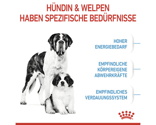 Illustration einer Hündin und Welpen mit Informationen zu ihren spezifischen Ernährungsbedürfnissen.