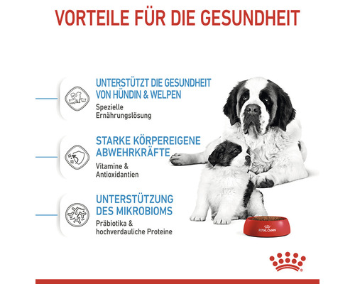 Vorteile für die Gesundheit mit Hündin, Welpen und Futternapf von Royal Canin