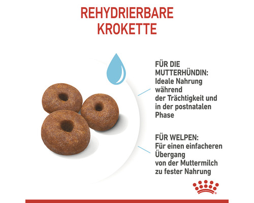 Rehydrierbare Kroketten für Mutterhündinnen und Welpen