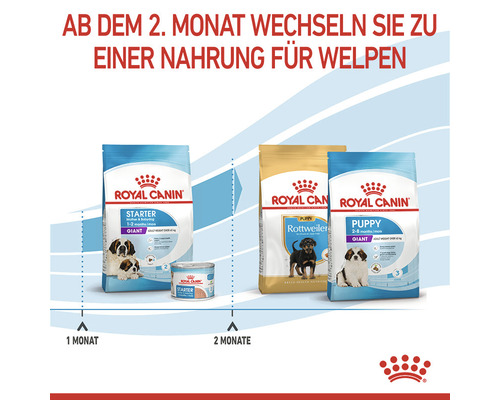 Royal Canin Welpenfutter für unterschiedliche Altersstufen