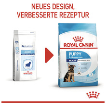 Hundefutter trocken ROYAL CANIN Maxi Puppy für Welpen großer Rassen 15 kg-thumb-13