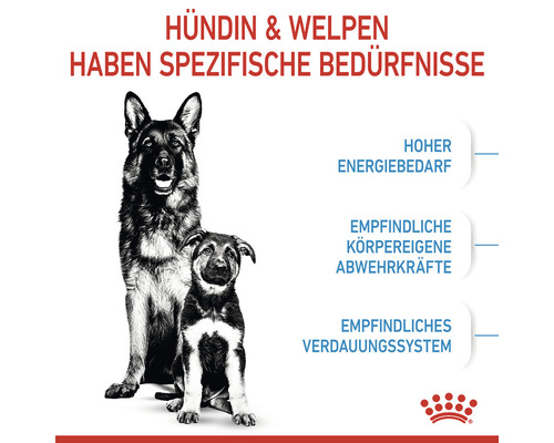 Hündin und Welpe haben spezifische Bedürfnisse