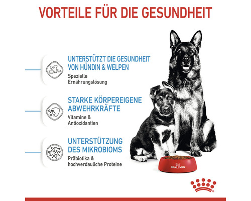 Vorteile für die Gesundheit von Hündin und Welpen mit speziellem Futter, das starke Abwehrkräfte, Vitamine und Unterstützung des Mikrobioms mit Präbiotika bietet. Royal Canin Logo.