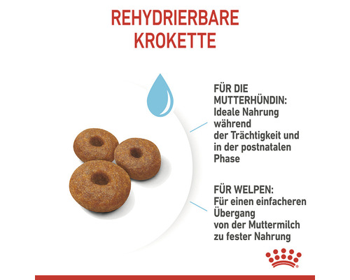 Rehydrierbares Hundefutter in Krokettenform für Mutterhündinnen und Welpen