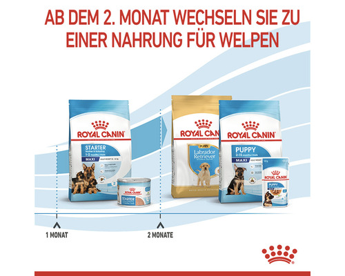 Royal Canin Welpenfutter für verschiedene Wachstumsphasen