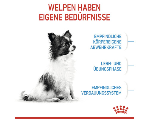 Welpe mit dem Hinweis Welpen haben eigene Bedürfnisse.