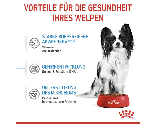 Vorteile für die Gesundheit Ihres Welpen, dargestellt mit einem Hund und einer Schüssel Royal Canin Futter.