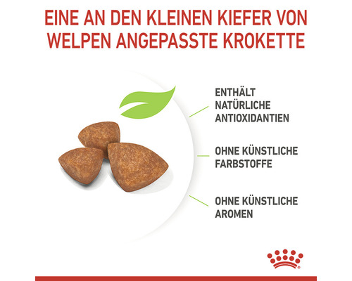 Hundefutterkroketten für Welpen mit natürlichen Antioxidantien, ohne künstliche Farbstoffe und Aromen.