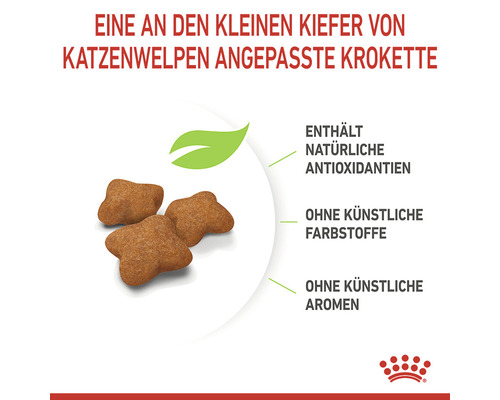 Kroketten, die an den kleinen Kiefer von Katzenwelpen angepasst sind, enthalten natürliche Antioxidantien, ohne künstliche Farbstoffe und Aromen.