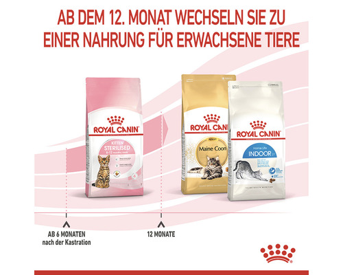 Drei Packungen Royal Canin Katzenfutter für Kitten sterilisiert, Maine Coon und Indoor