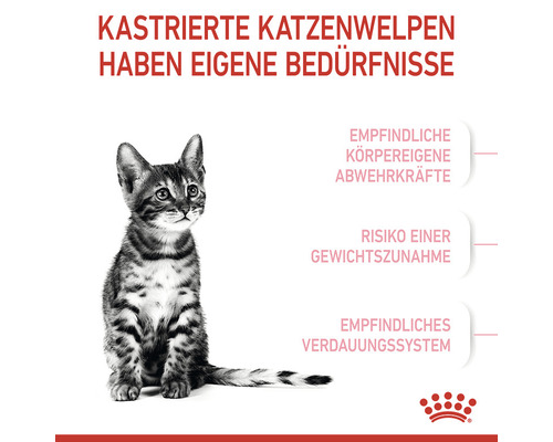Illustration mit Katze und Informationen zu Bedürfnissen kastrierter Katzenwelpen