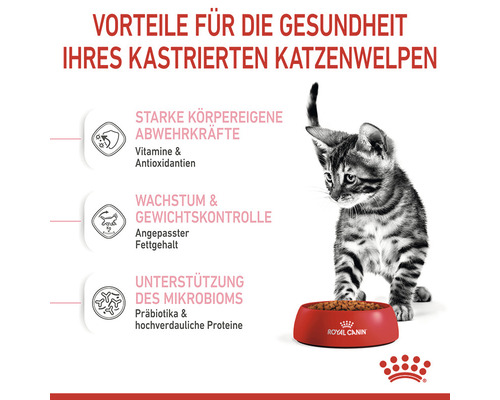 Katzenwelpe neben einer Schüssel mit Katzenfutter der Marke Royal Canin