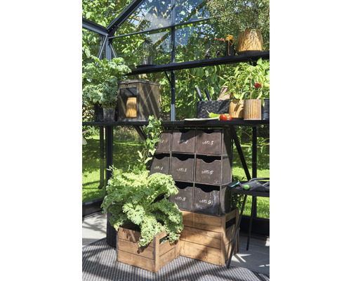 Gewächshaus-Interieur mit Regalen, Pflanzkästen und Gartenwerkzeugen