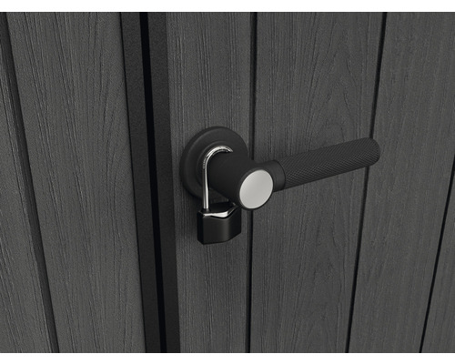 Tür mit Türgriff und Vorhängeschloss