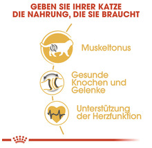 Informationen zur Unterstützung von Muskeltonus, gesunden Knochen und Gelenken sowie der Herzfunktion für Katzen