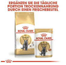Royal Canin Adult British Shorthair Trockenfutter und Frischebeutel für Katzen
