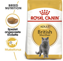 Royal Canin Adult British Shorthair Katzenfutter Verpackung