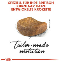 Krokette speziell für Britisch Kurzhaar Katzen