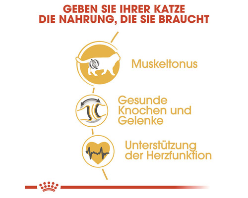 Grafik zur Unterstützung von Muskeltonus, Knochen, Gelenken und Herzfunktion bei Katzen.