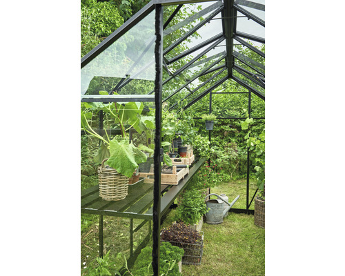 Gewächshaus mit Pflanzen auf einem Tisch und im Garten