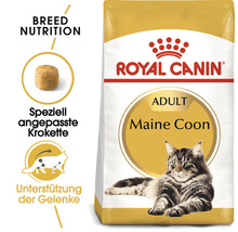 Royal Canin Adult Maine Coon Katzenfutter