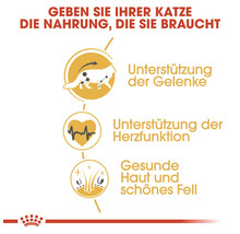 Katzenfutter Vorteile: Unterstützung der Gelenke, Unterstützung der Herzfunktion, gesunde Haut und schönes Fell