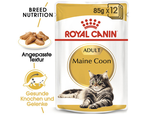 Royal Canin Adult Maine Coon Katzenfutter im 85 Gramm Beutel, 12er Pack