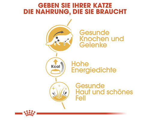 Katzenfutter Vorteile: Gesunde Knochen und Gelenke, hohe Energiedichte, gesunde Haut und schönes Fell.