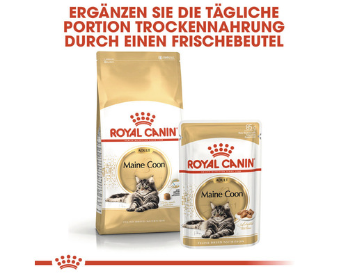 Royal Canin Maine Coon Adult Katzenfutter, Trocken- und Feuchtfutter