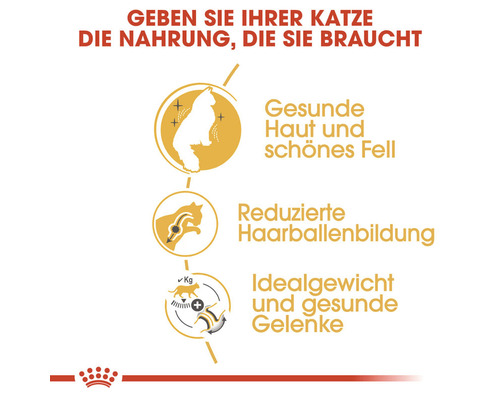 Vorteile von Katzenfutter: gesunde Haut und schönes Fell, reduzierte Haarballenbildung, Idealgewicht und gesunde Gelenke