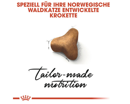 Krokette für Norwegische Waldkatzen