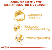 Katzenfutter Vorteile: Gesundes langes Fell, reduzierte Haarballenbildung, gute Verdauung