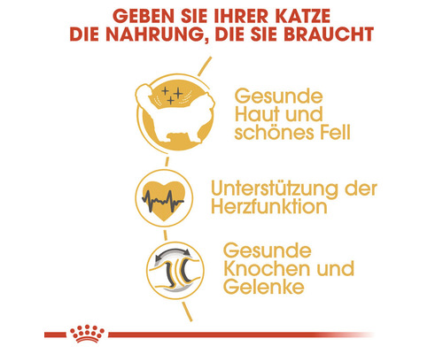 Illustration zur Ernährungsvorteilen für Katzen: Gesunde Haut und schönes Fell, Unterstützung der Herzfunktion, gesunde Knochen und Gelenke