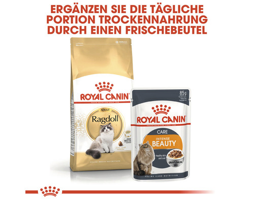 Royal Canin Ragdoll Adult Trockenfutter und Royal Canin Intense Beauty Feuchtfutter