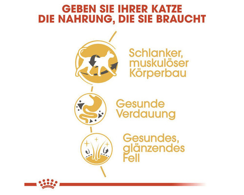 Illustration zur Unterstützung von schlanker, muskulöser Statur, gesunder Verdauung und gesundem, glänzendem Fell bei Katzen