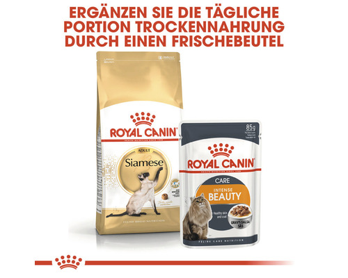 Royal Canin Siamese Adult Trockenfutter und Intense Beauty Katzenfutter Frischebeutel
